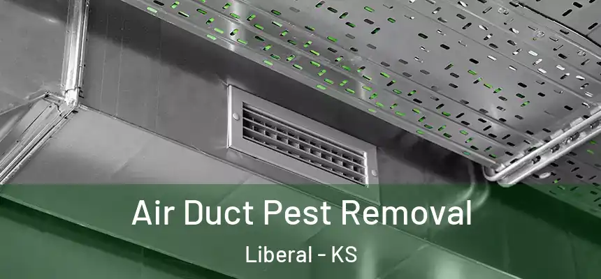 Air Duct Pest Removal Liberal - KS