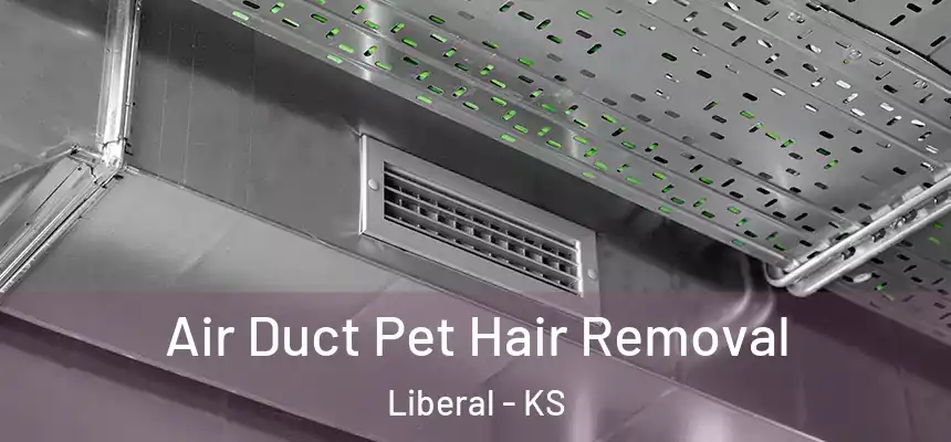Air Duct Pet Hair Removal Liberal - KS
