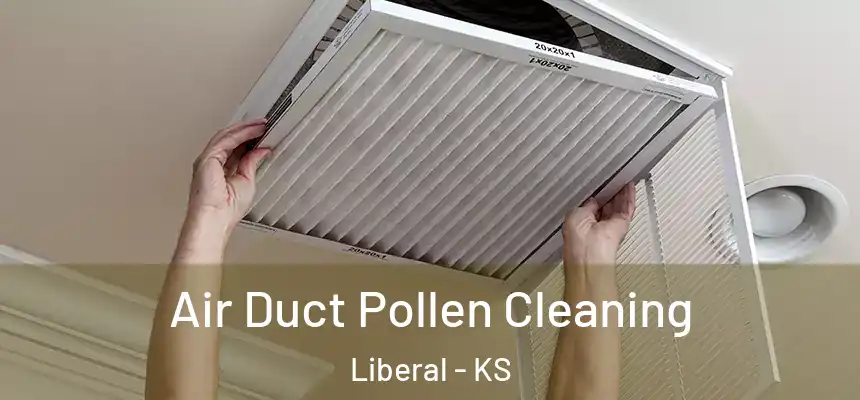  Air Duct Pollen Cleaning Liberal - KS