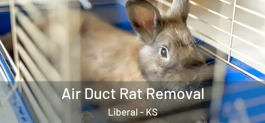Air Duct Rat Removal Liberal - KS