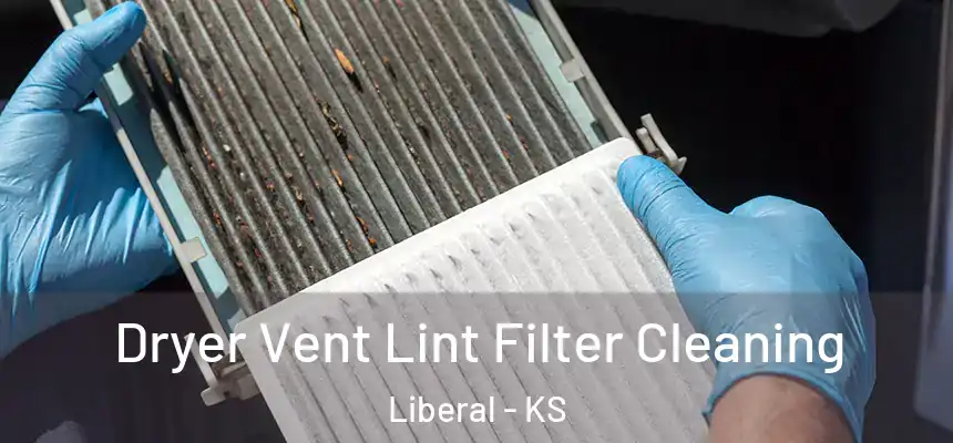  Dryer Vent Lint Filter Cleaning Liberal - KS