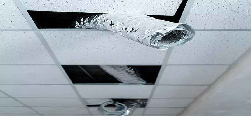 Affordable HVAC Sanitizing After Pest Removal in Liberal