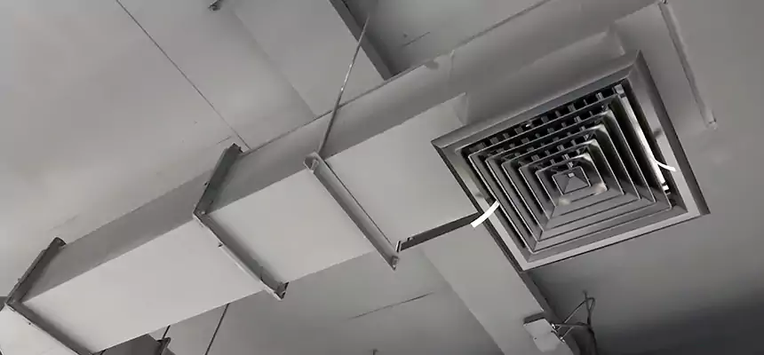 Our Rodent Droppings In Vents Services in Liberal, KS