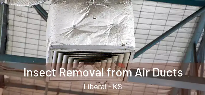  Insect Removal from Air Ducts Liberal - KS
