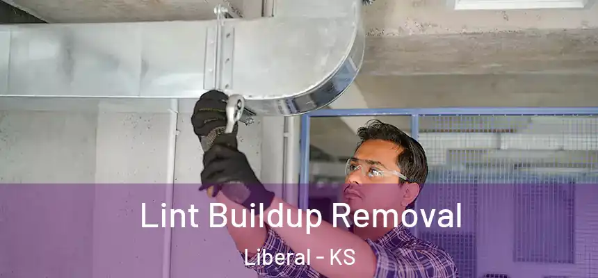  Lint Buildup Removal Liberal - KS