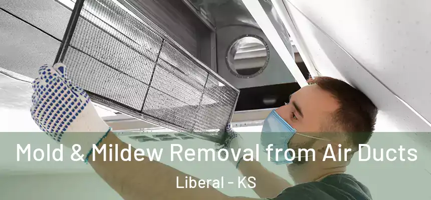  Mold & Mildew Removal from Air Ducts Liberal - KS
