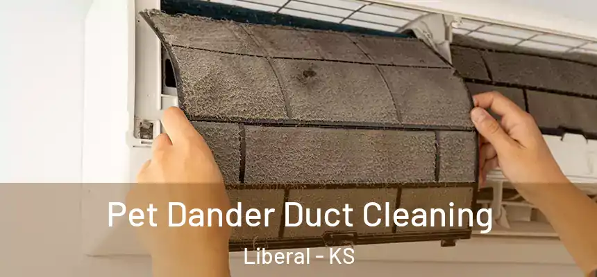  Pet Dander Duct Cleaning Liberal - KS