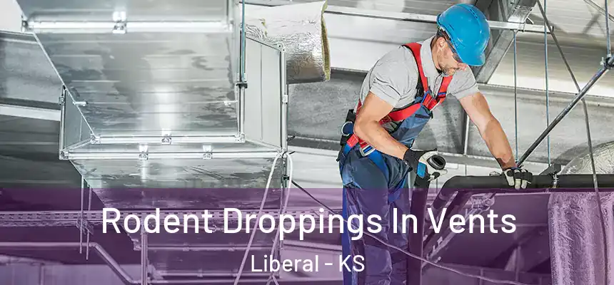  Rodent Droppings In Vents Liberal - KS
