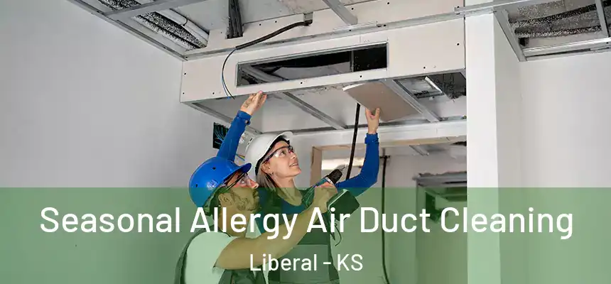  Seasonal Allergy Air Duct Cleaning Liberal - KS