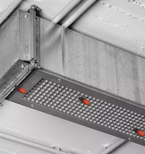 About Air Duct Cockroach Removal in Liberal, KS
