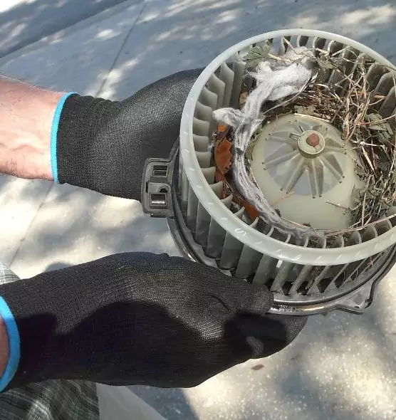 About Air Duct Rat Removal in Liberal, KS