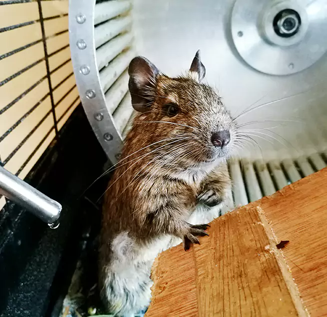 Why Homeowners & Businesses Trust Us Liberal, KS